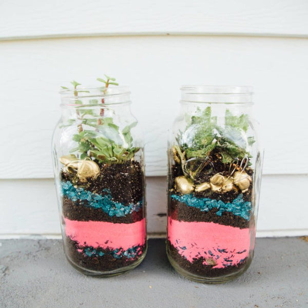 DIY Mason Jar Terrarium