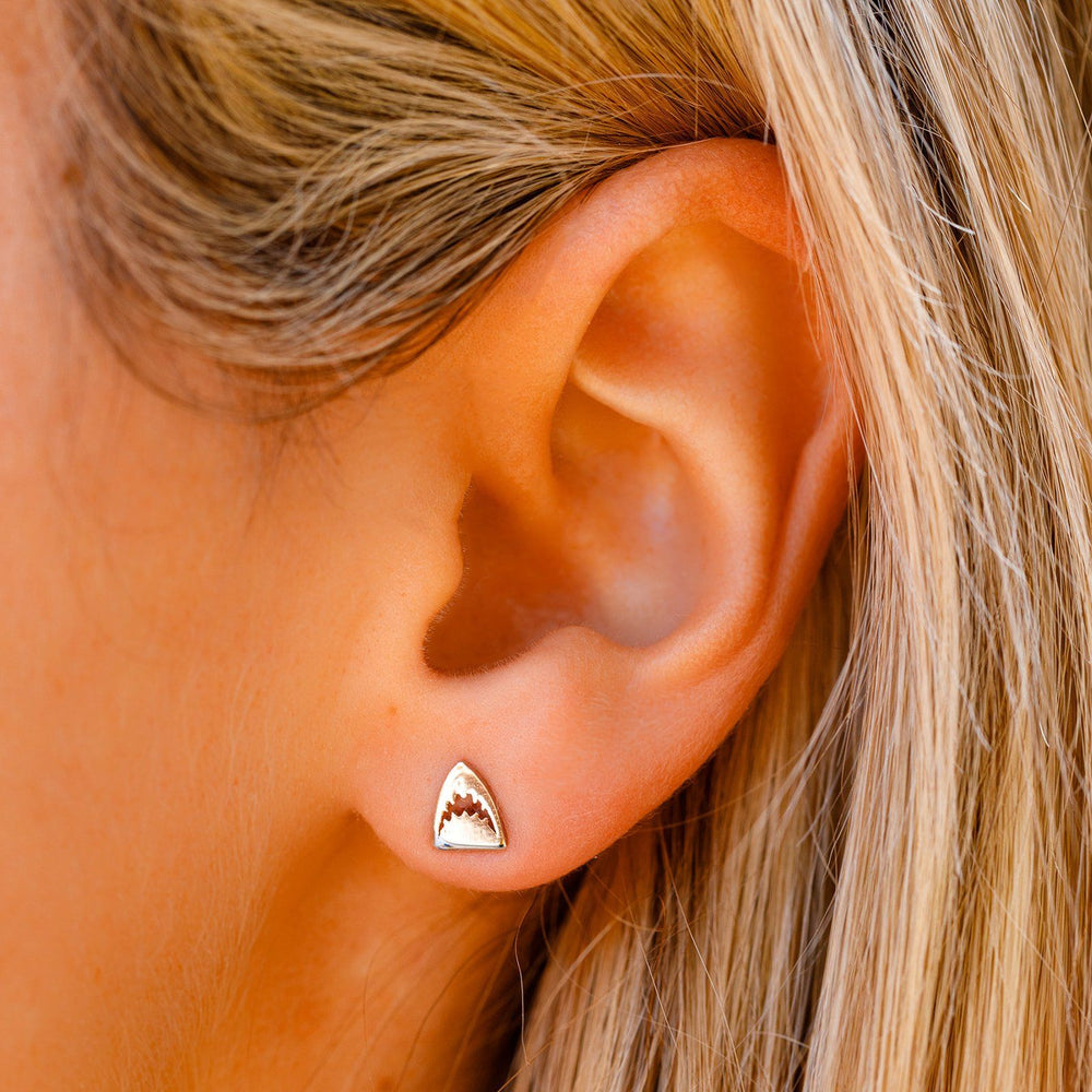 Shark Earring Pack 2