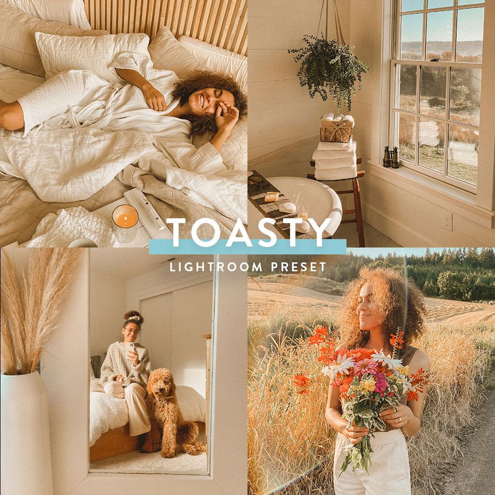 Toasty Preset by Alivia Fields 1