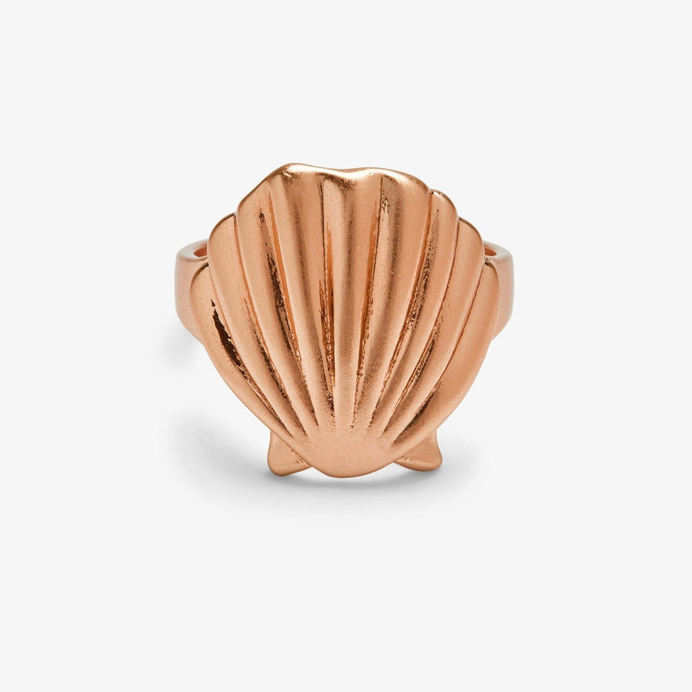 Flat Shell Ring 2